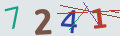 verifycode